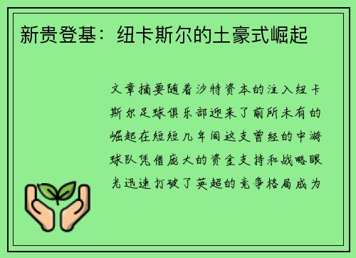 新贵登基：纽卡斯尔的土豪式崛起